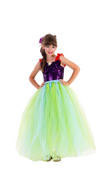 Carnival Costume Princess Of Miracles