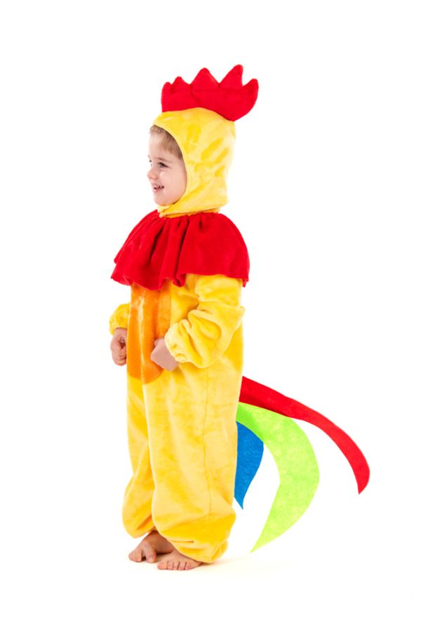 Carnival Costume Little Rooster