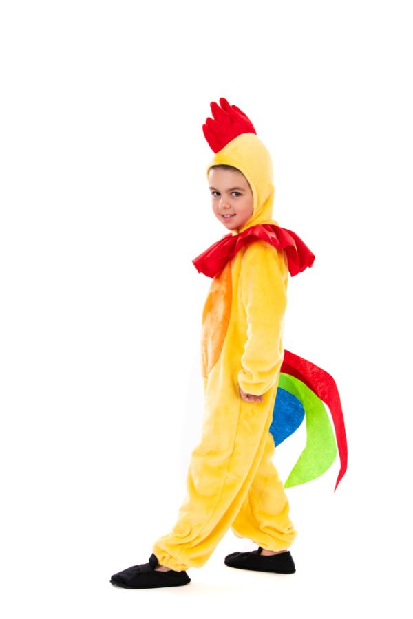 Carnival Costume Rooster