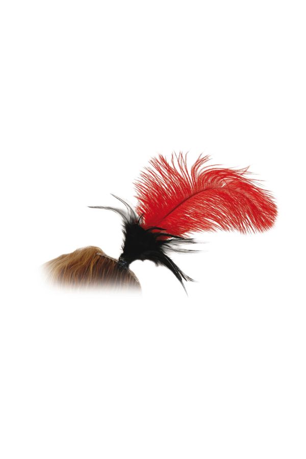 Carnival Accessories Red Feather Comb