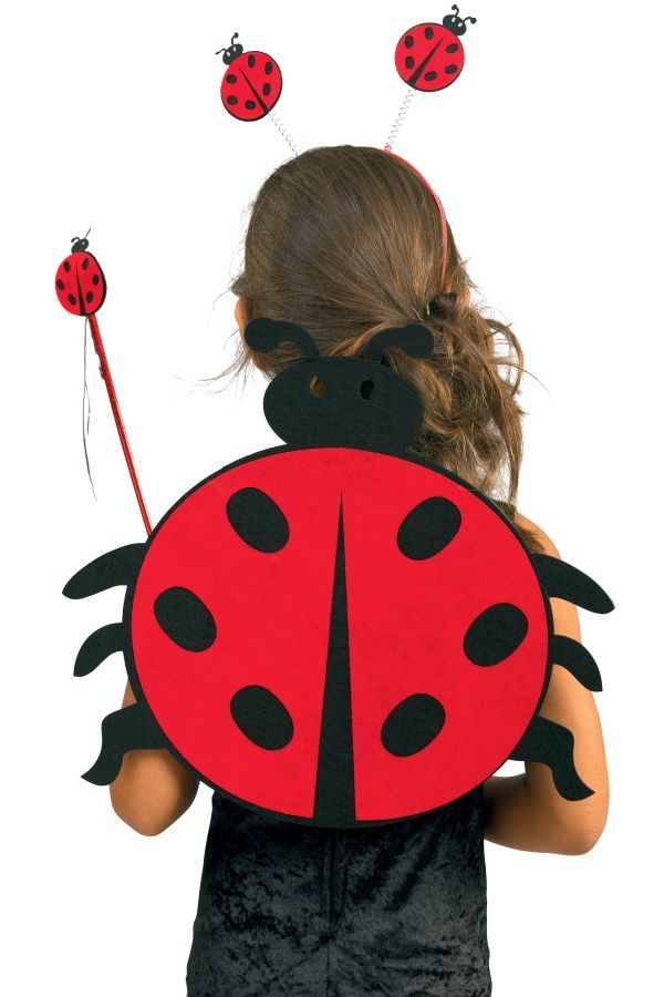 Carnival Accessories Ladybug's Set 3pcs 40X36cm