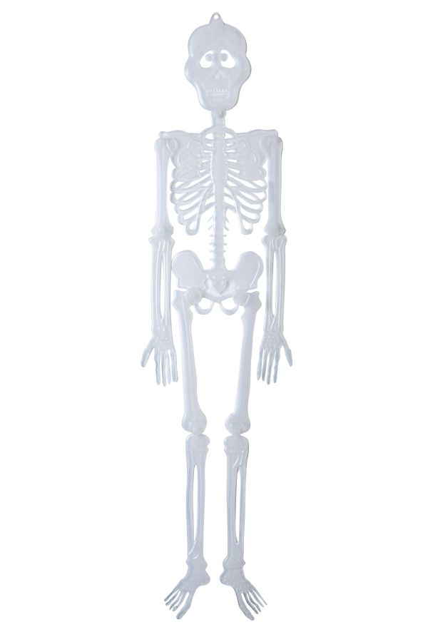 Carnival Accessories Hanging Skeleton  88cm